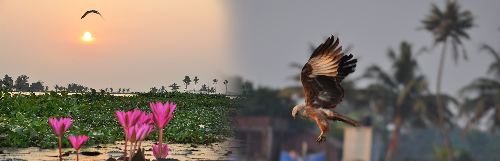 2 bed room houseboat alleppey